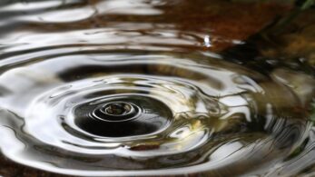 Macro of a falling rain drop in a natural environment