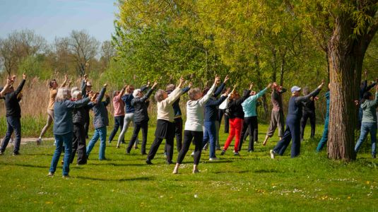 Tai Chi Tao & Bedrijf